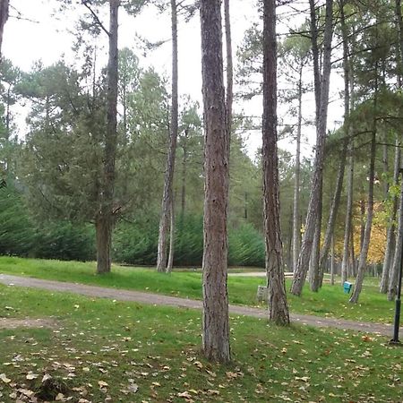 Camping Caravaning Cuenca クエンカ エクステリア 写真