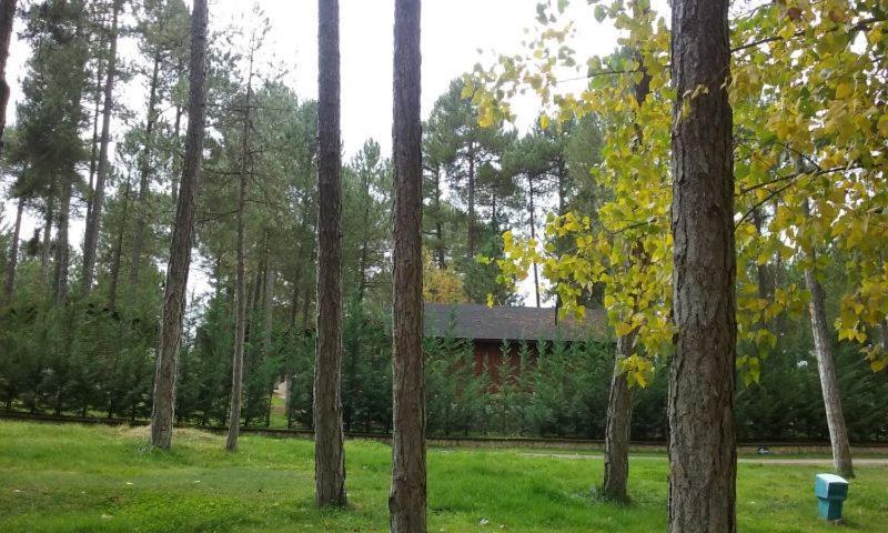 Camping Caravaning Cuenca クエンカ エクステリア 写真