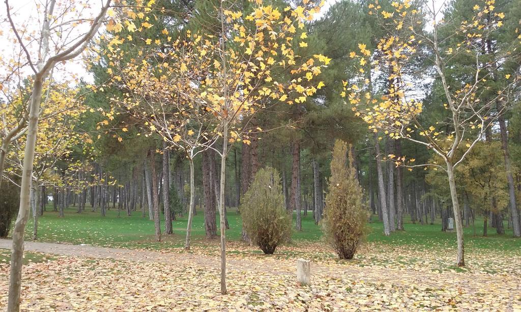 Camping Caravaning Cuenca クエンカ エクステリア 写真